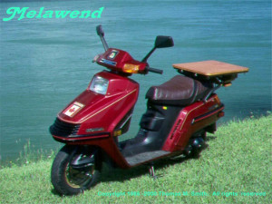 Melawend_-_a_1985_Honda_Elite_Spacy_250