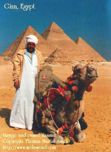 aaaaaaaaaaaaa - Farage camel Pyramids
