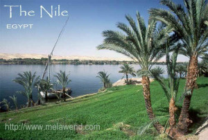ddddddddd - the Nile and felluca