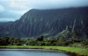 1 - HAWAII OAHU IMG_0165