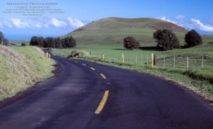 3 - HAWAII MAUI Kohala Mountain Road, Maui