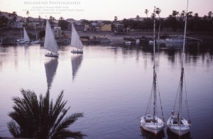 EGYPT ASWAN IMG_0081