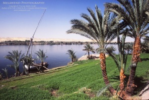 EGYPT IMG_0077