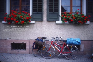 GERMANY _IMG_0014