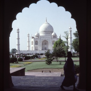 INDIA TAJ IMG_0011