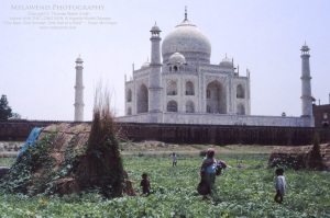 INDIA TAJ IMG_0226