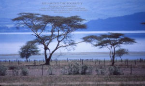 KENYA IMG_0035 (2)