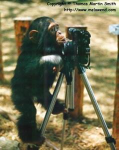 KENYA MT KENYA GAME RANCH Tom S monkeying around - again... Max in Kenya