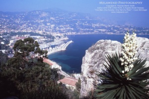 MONACO IMG_0103