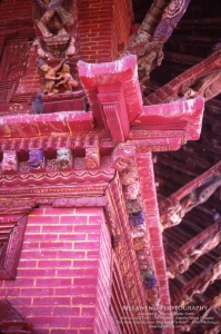 NEPAL IMG_0209