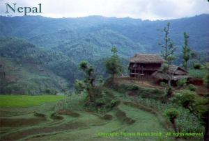 Nepal - farm in the Himalyan foothills
