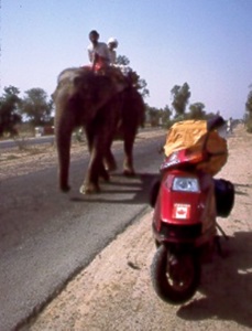 Two beasts of burden on the road to Delhi