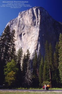 USA - Yosemite_IMG_0017aaa