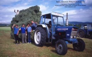 WALES - hay